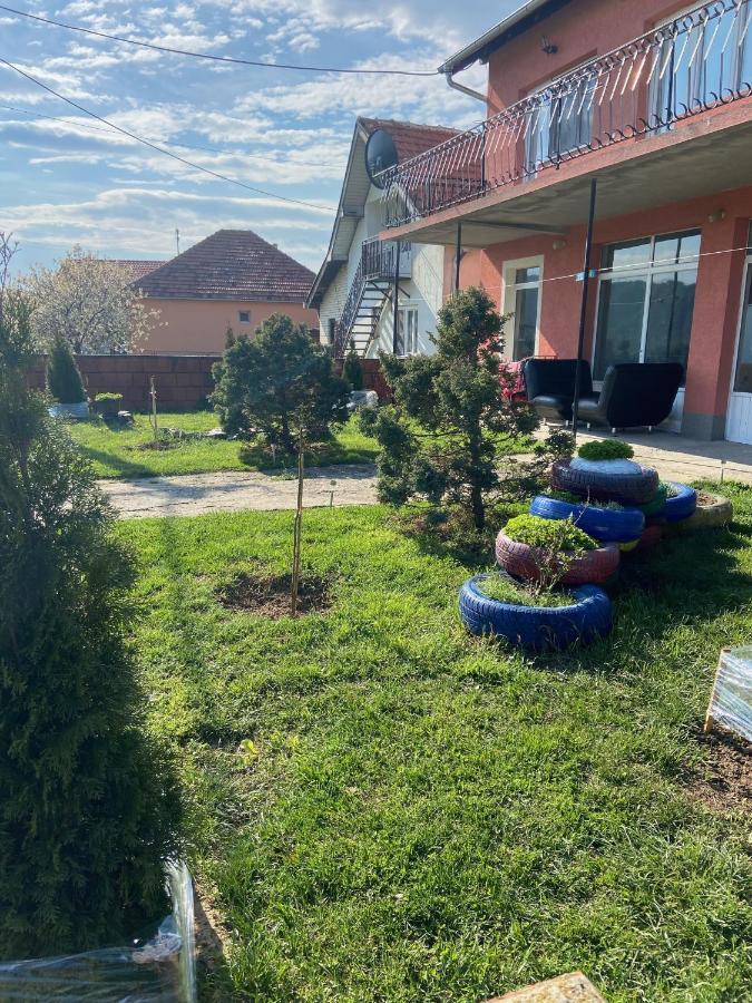 Apartman Pejovic Kladovo Extérieur photo